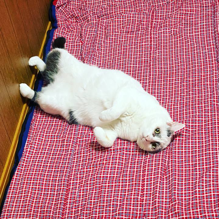 1283523f 5bb1 461e 8163 33b0032e9cbe 1628958033018