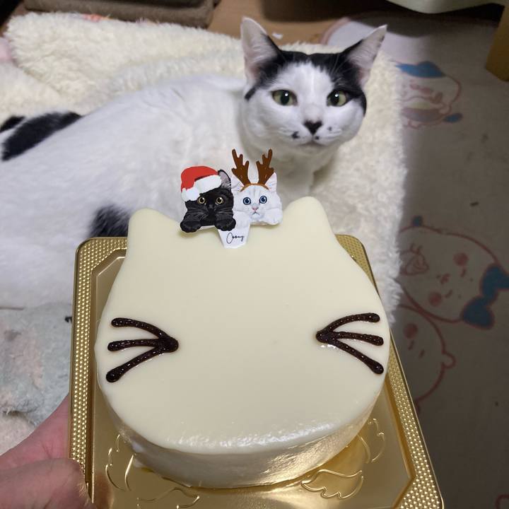 12835302 1e81 45ee 8636 eea41f7db4b0 1766579969698