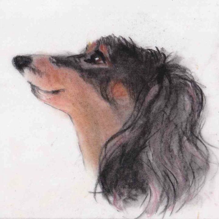 12836bfe 947b 479e be64 966d071156cc 1636163160480