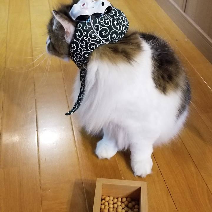 1283790e 249a 4902 ba4a 39e0230c17ce 1580731522628