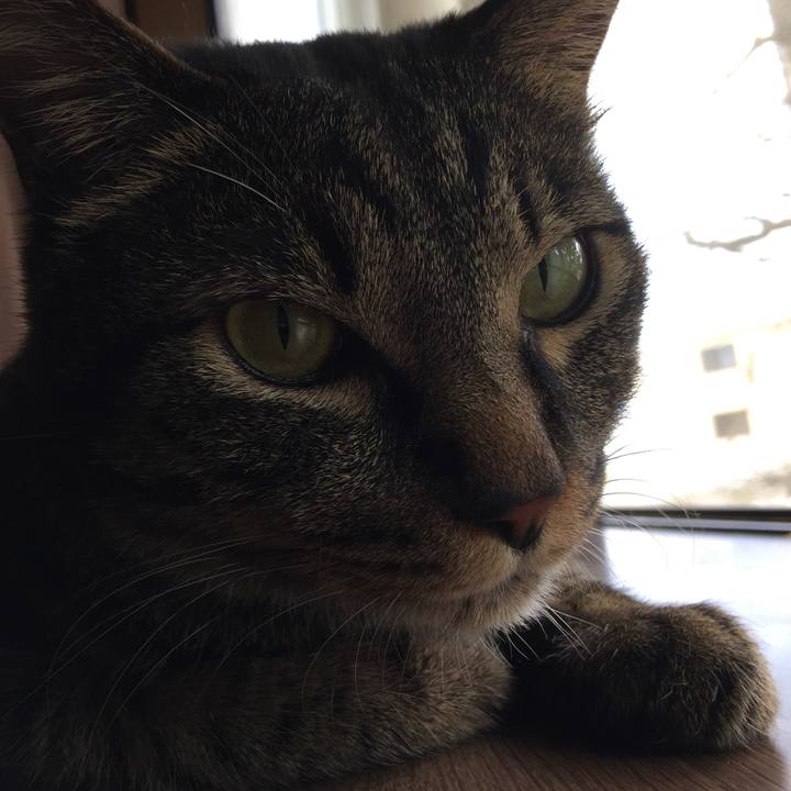 12837fe4 d841 47bb 8afc dbb1a58aca1a 1599431705384