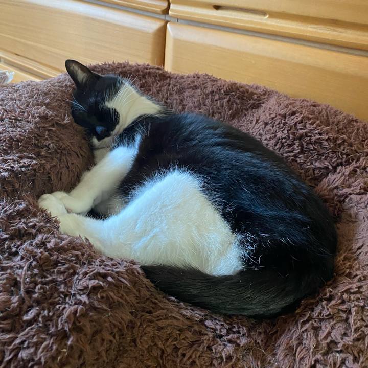 1283acfc ff55 489f ae2f c9c91c45f1f8 1744349631512