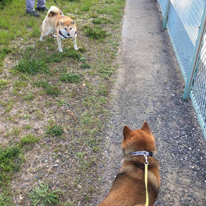 1283bad7 68dd 4971 8cb4 b6d3e614dc73 1587284750027