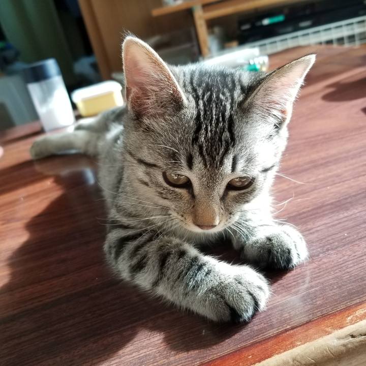 1283cd93 89f2 4a81 81ba acbeb9e3aa9c 1667353635212