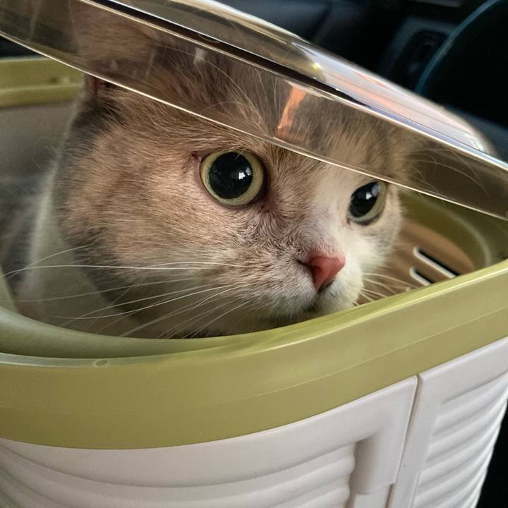 1283cda8 22da 4020 a7ea 71bcfff92ec1 1665825884498