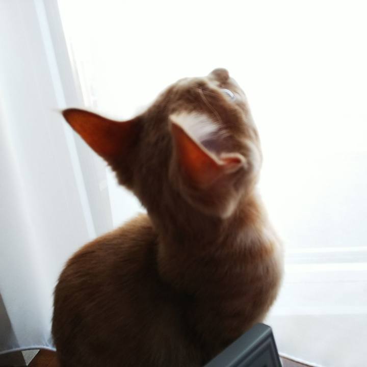 1283ce84 20d7 47b7 9ecc 69f7417f7848 1542408589552