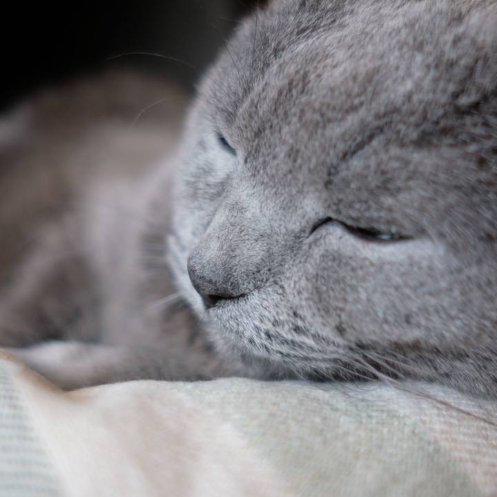 1283d1cc d928 402b 920b 1a379a831f68 1651543969786