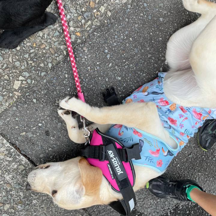 12840c8d 484a 40b0 bcb1 034ae46ae514 1623919355421