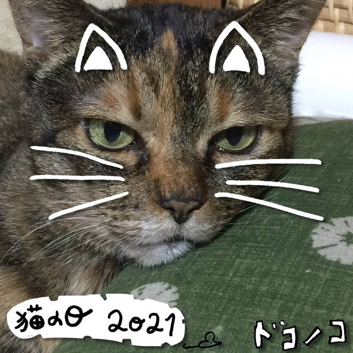 128415fb 5fb8 4e57 858b 521356846e6e 1613990516832