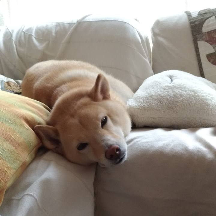 12841959 46b1 447c 9552 7cb4f3d96bbd 1601766740108