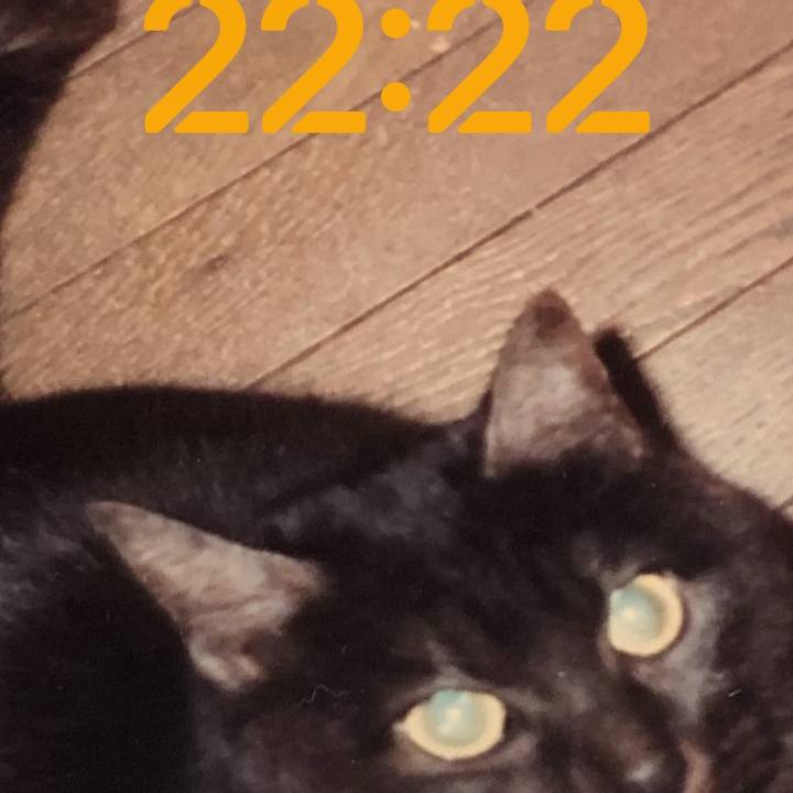 128419ed 2c0d 4022 87e3 9eca2948125b 1697119506975