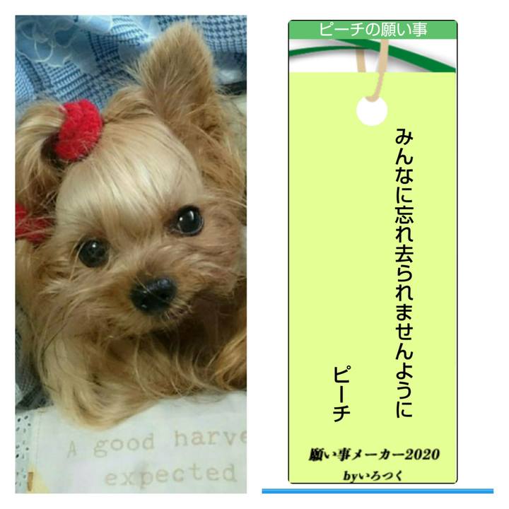 1284255d a140 47f6 a9e7 9bcfdee25e10 1594101528937