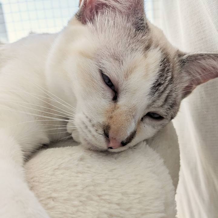 128454ec 447f 4aaf b65b a9f5b0288e98 1701915725672