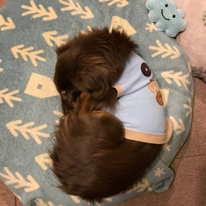 12845f83 9590 4fbd 91a1 3951002cdf84 1521795269502