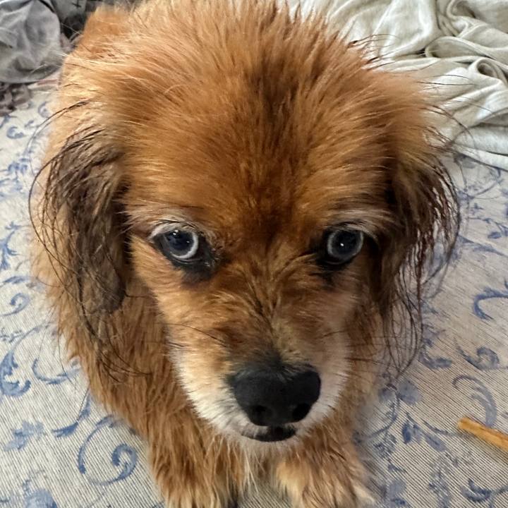 128460ef 2064 4319 9257 da34a97fe46d 1751150271299