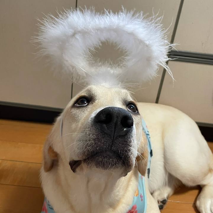 12846be4 476a 49cf b710 558c08b9d0f3 1625845230799