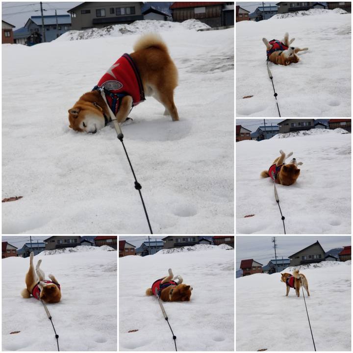 12847b16 9fc2 4a8b a0d4 5d3cd76fa7b8 1552189503022