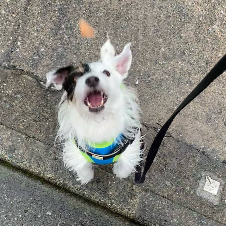 1284a14e b59d 43be b779 2ceea6bbbd0a 1665359466463