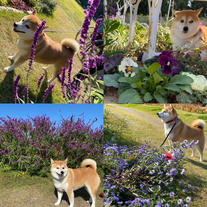 1284acb1 4aa2 45bc b6fb b4d6c6928e63 1605625836902