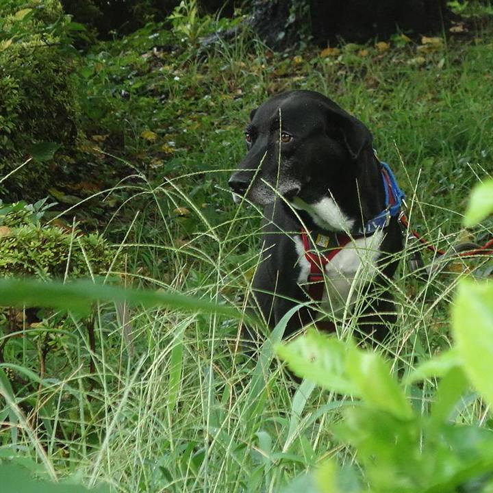 1284c613 e64a 490c a335 1b5f29ad6fcf 1692057587958