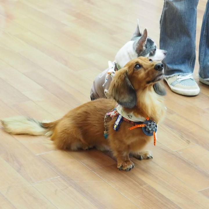 1284ce4b a816 4aaf 9ade 9bedbf2073d0 1539348800100