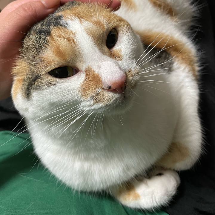 1284ec37 5d0a 40ab 8a6d 26d54a53f4fb 1655559275683