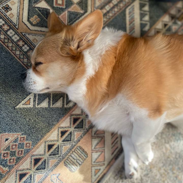 12852cd3 ce11 46a7 83c0 88364e59fd97 1747123236017