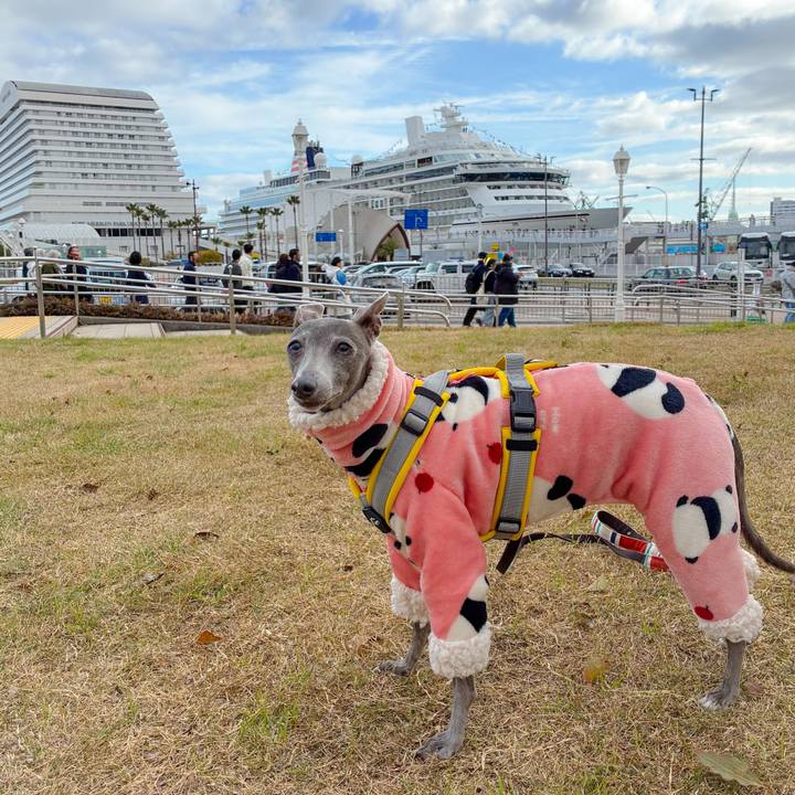 12852ea6 73ea 4d58 9845 7cdcf4809024 1773477082958