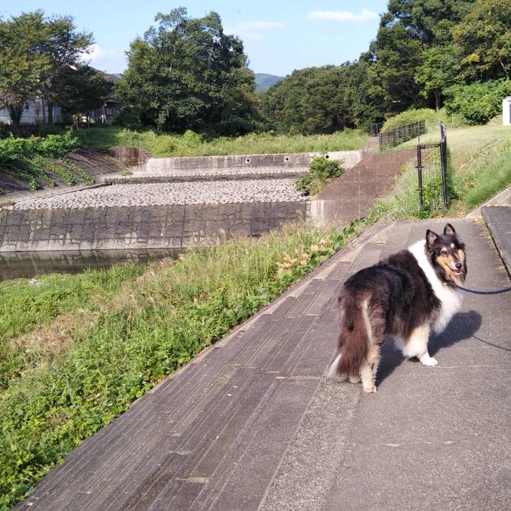 12852f7c 5779 4a02 891a b10ab945f904 1568539638255