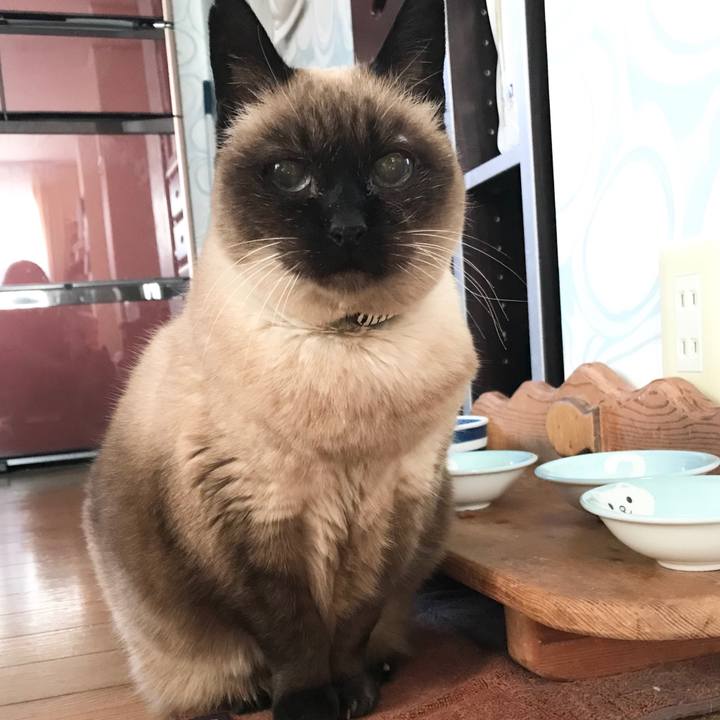 128542e4 db3f 4346 8eed eb939b979467 1580516420446