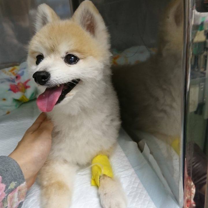 12855abe 253e 44b2 9898 afe6536900bb 1509801552774