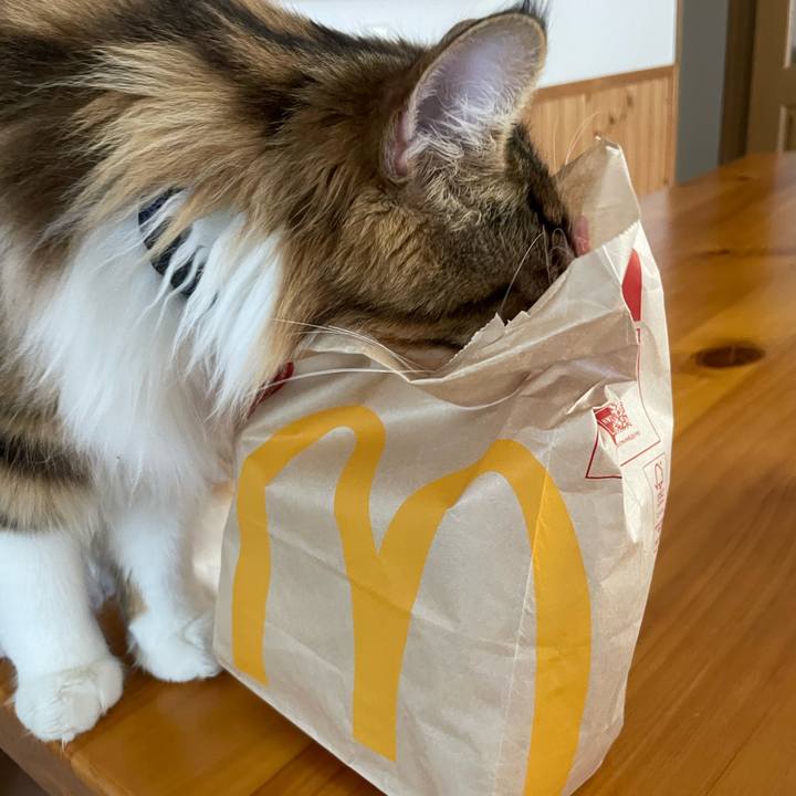 128580d7 123e 452a b40c e7e5db7cfe74 1653778152016