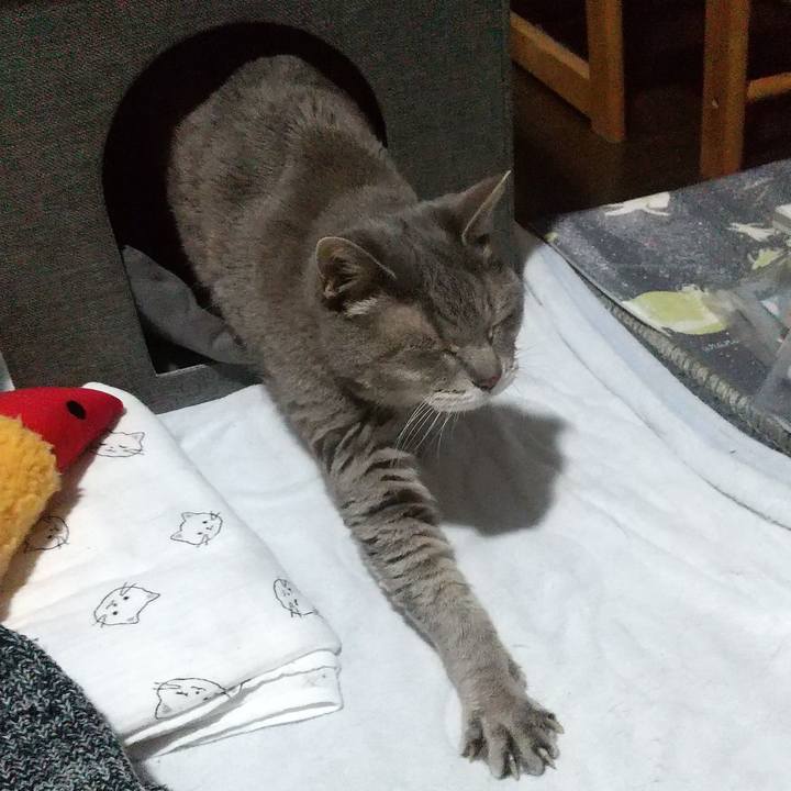 12859efe f94b 40c6 bbc2 5190f9006e68 1673009553344