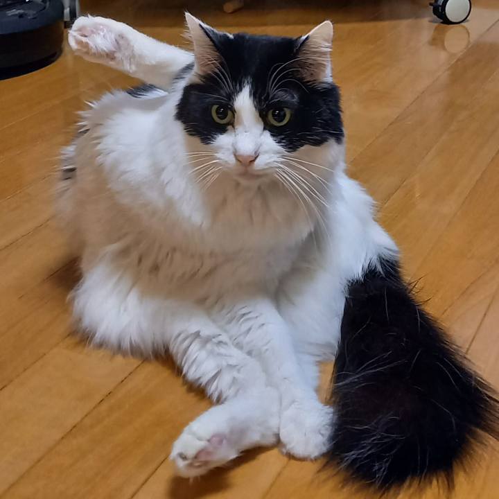 1285bcaa b22e 476e bfb0 8e4cf9383f82 1643317115385