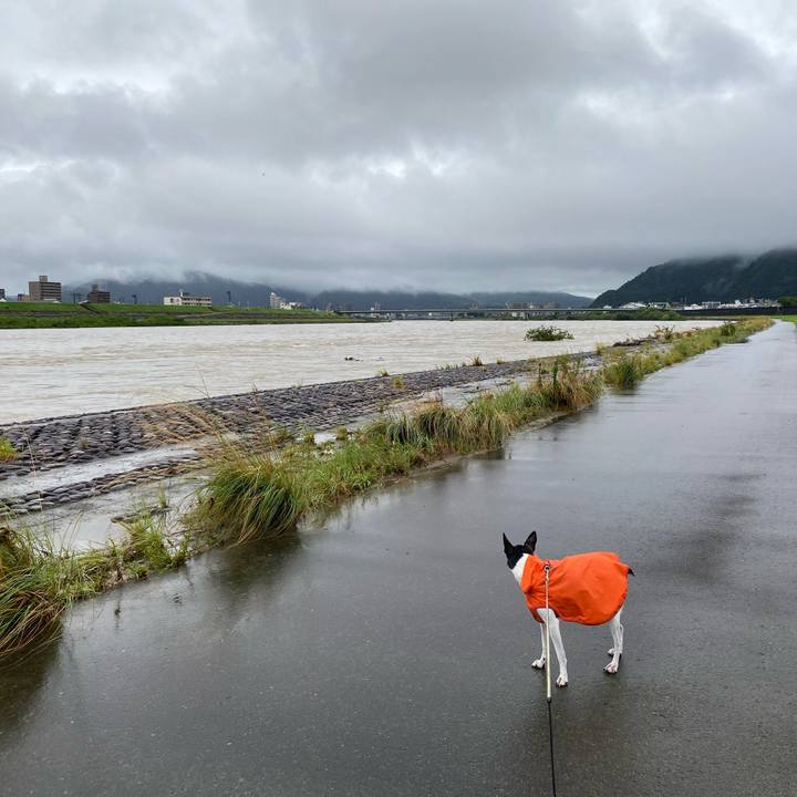 1285edf9 1f6f 4c2a 93ff ebf1f77fc500 1628899541031