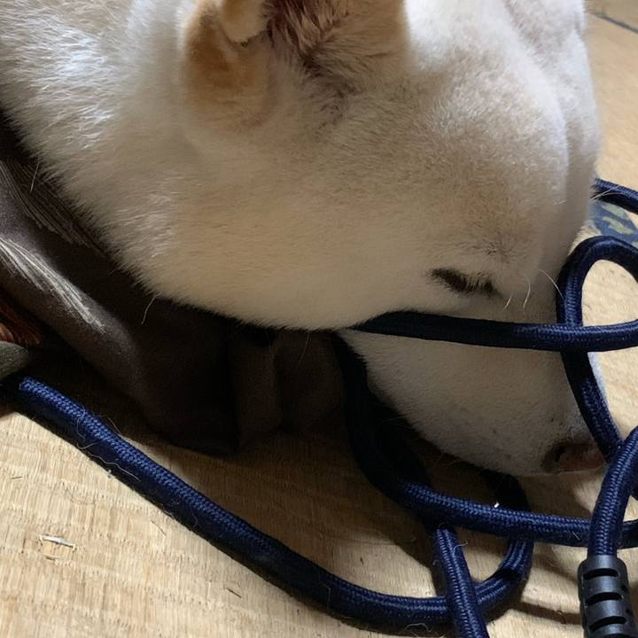 12861c42 65c9 4663 939f 126b590a0a74 1602915118688