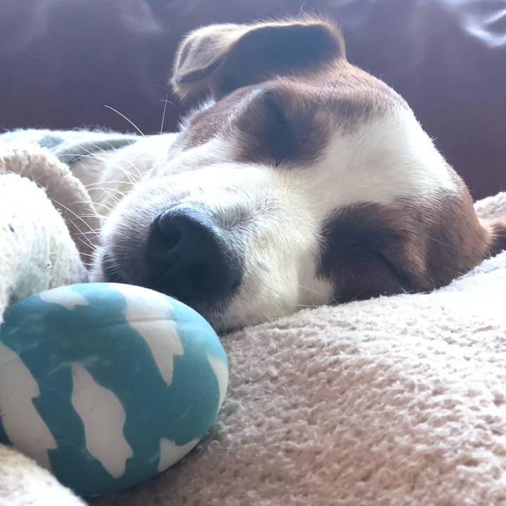 128620e5 bd61 44e8 9343 306d6658587f 1560673906178