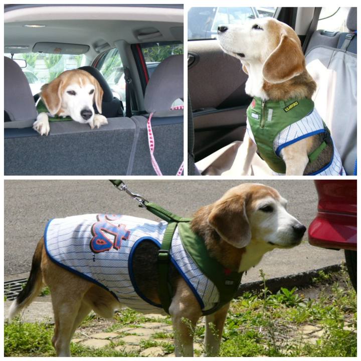 128692a6 db06 4bd2 96af ab8d81c44f7c 1664153549532