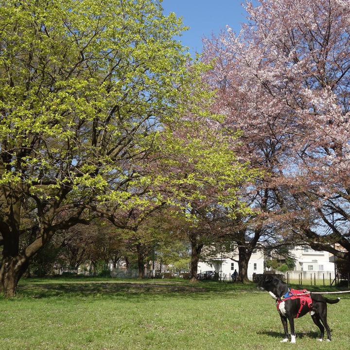 1286c58b a503 4d16 9bc8 3a6d5dee1105 1680570419068