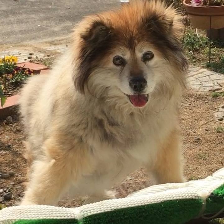 1286d911 ccd9 473a aeb7 f00e3130abfc 1562228877627