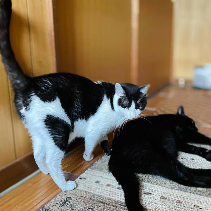 1286f608 074c 45ed 8a1c 41a075505ac6 1631498021626