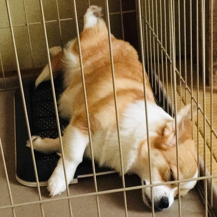 12870492 0253 4863 a703 636436857a95 1564713354475