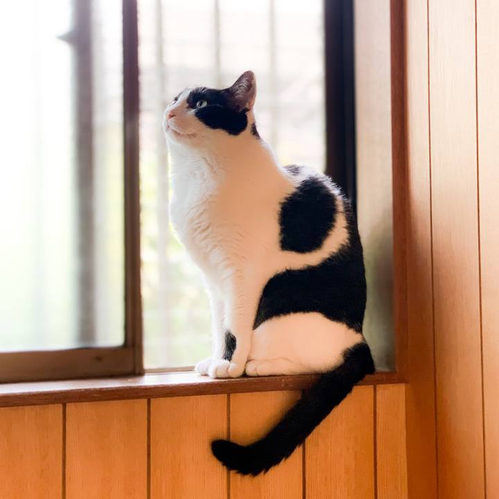 12871e09 2066 48bd 91b1 e5af6b682335 1594174281021