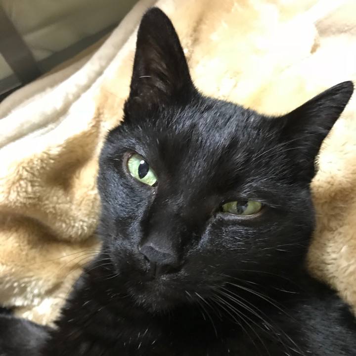 1287221b 8105 4278 b5b0 73304e88e91c 1517878411694