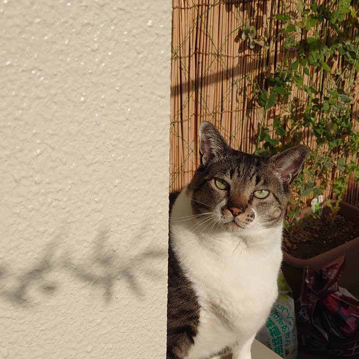 12873628 8b91 4615 9374 72b0059be126 1584837294870