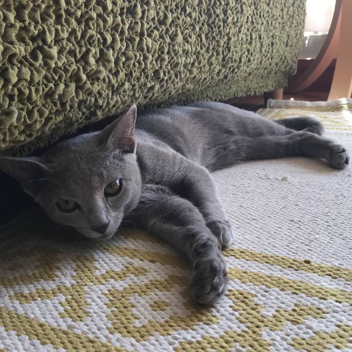 12874728 67b6 4ecd 8bcc fcb3a442b970 1510454847879