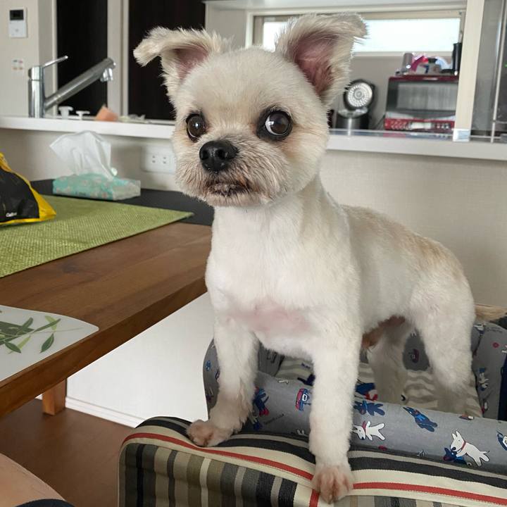 1287e60f 57b6 4d45 8957 36b16e76abcd 1723273184396