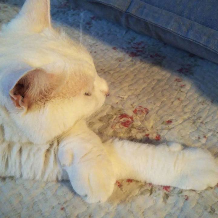 1287ea85 8de0 4a1a b9f8 85bb0d21c6f7 1626343878878