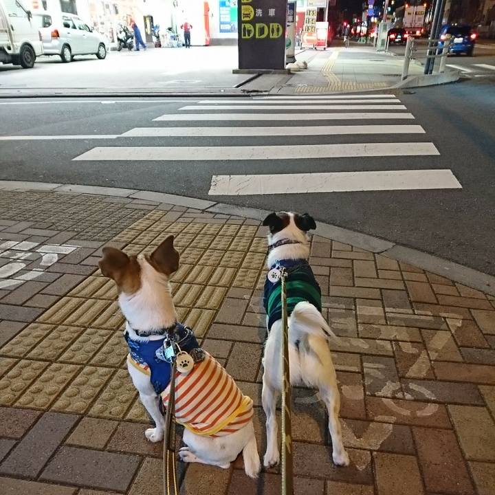 1287f8e1 f034 4c07 834d fda8c113a9cf 1528371115188