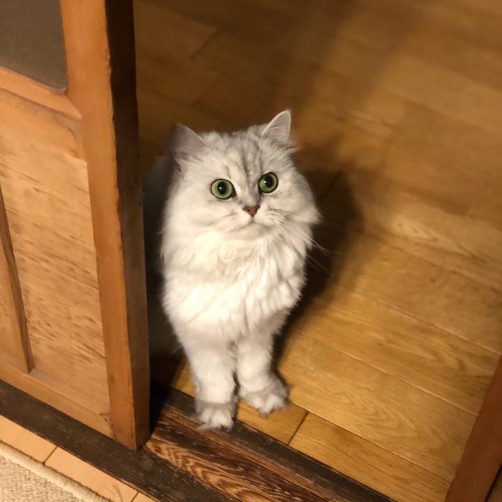 1288504f 6f2d 4d82 87b7 21b630ab1a2e 1564231153691